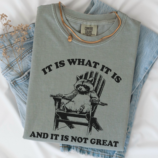 It Is What It Is Comfort Color Graphic Tee