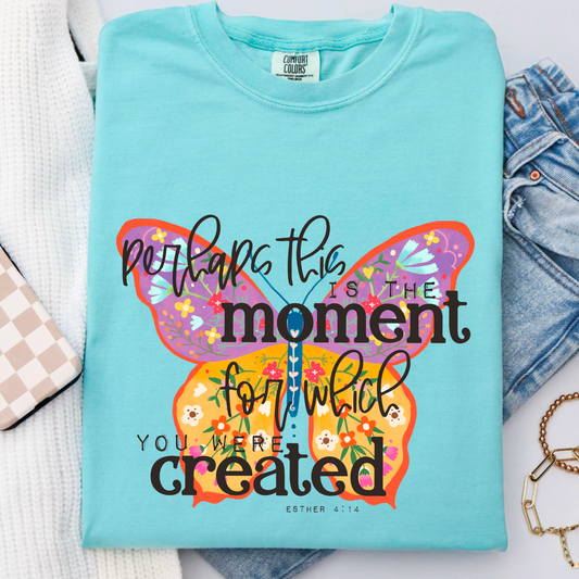 Perhaps This Is The Moment You Were Created For Comfort Color Graphic Tee