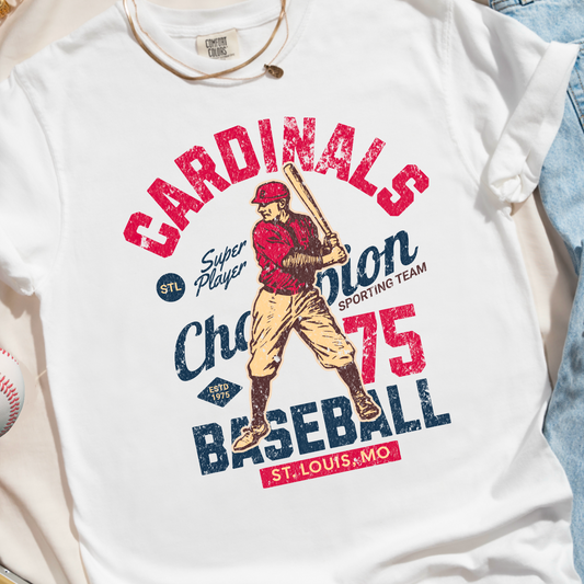 St. Louis Comfort Color Graphic Tee