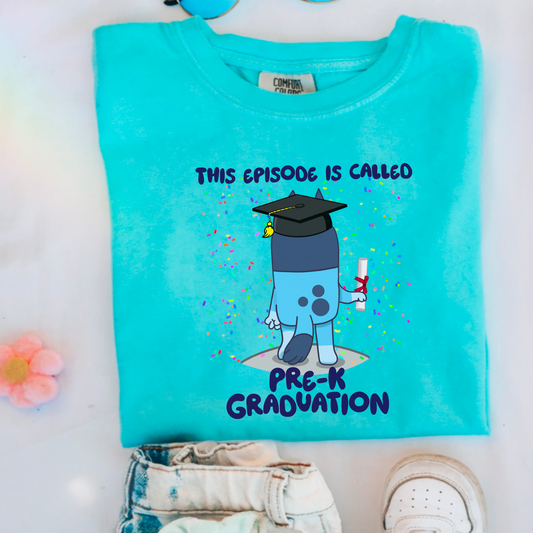 This Episode Is Called Pre-K Graduation Youth Comfort Color Graphic Tee