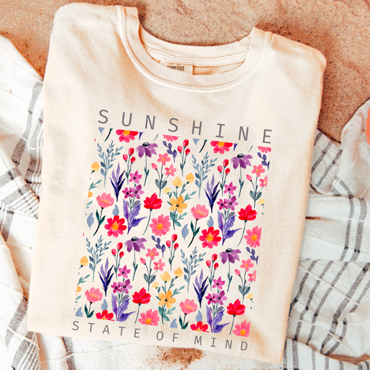 Sunshine State Of Mind Comfort Color Graphic Tee